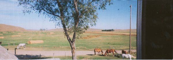 Looking out ranch house window.